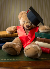 brown teddy bear wearing graduation cap leaning on books