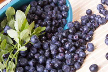 scattered blueberries