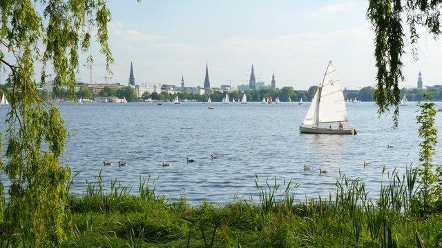  View of the Alster lake in Hamburg