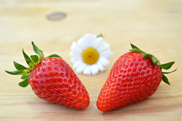 Two strawberries and daisy flower on wooden background