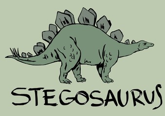 Stegosaurus