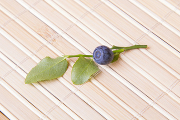 blueberry twig on a table 
