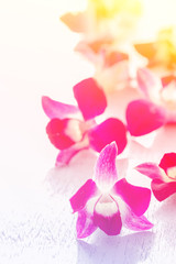 Beautiful flowers made with color filters, flower background.