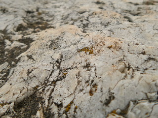 Rock Backdrop