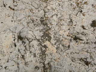 Rock Backdrop
