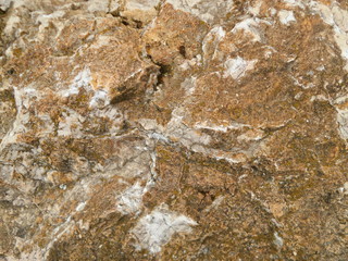 Rock Backdrop