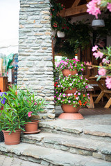 Fototapeta na wymiar flowers on the terrace