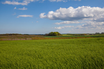 Green feilds in the lincolnshire wolds with sky
