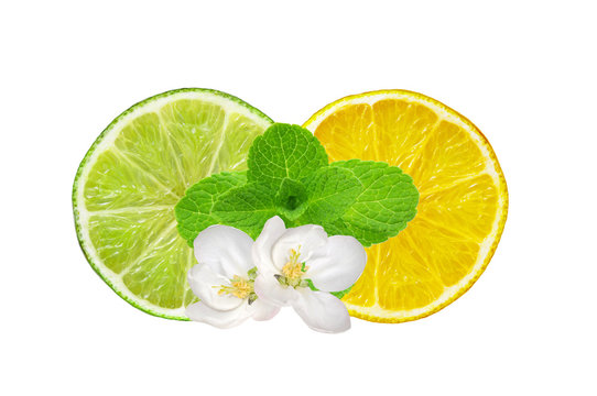Lemon and lime slices and mint herb isolated on white