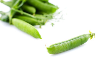 The young peas
