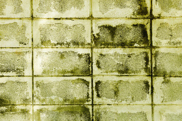 colour full  wall background with vignette