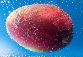 mango underwater
