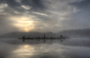 Obraz na płótnie Canvas Morning in the swamp pond