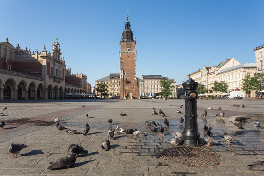 Cracow / the old town squere