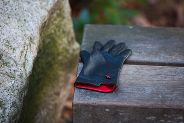 Lost glove