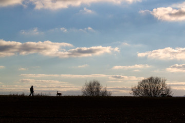 Man Walking Dog