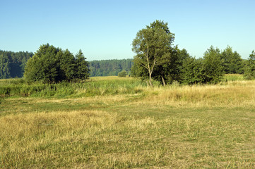 Fototapeta premium Лето в разгаре