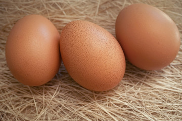 eggs in a basket on nest background

