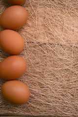 eggs in a basket on nest background
