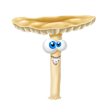 fungo