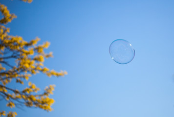 Bubble and yellow tree