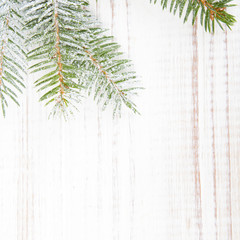 fir branches on a white wooden background 