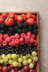 fresh summer fruit selection