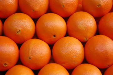Oranges , citrus fruits