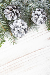 Christmas background with decoration with cones and twigs 