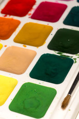 Watercolor Paints