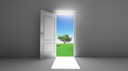 Stanza porta aperta su campo albero