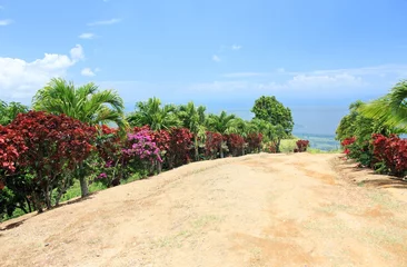 Foto op Plexiglas Road hill tropical flora sky mountains in Dominican republic island palms Bougainvillea bushes beautiful highland latin america © Anna_ok
