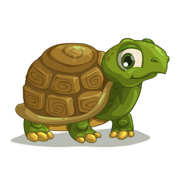 Old Turtle Cartoon Images – Browse 1,459 Stock Photos, Vectors, and Video |  Adobe Stock