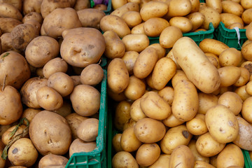 Group of Potatoes