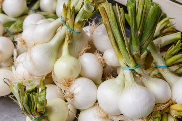 Spring Onions also known as Salad Onions, Scallions  on the market
