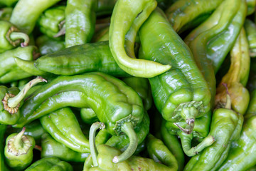 Group of green peppers