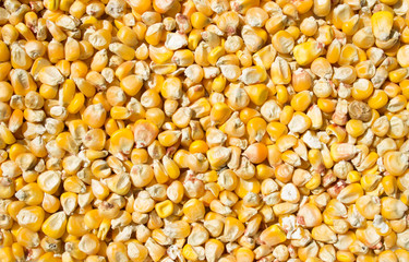Corn beans