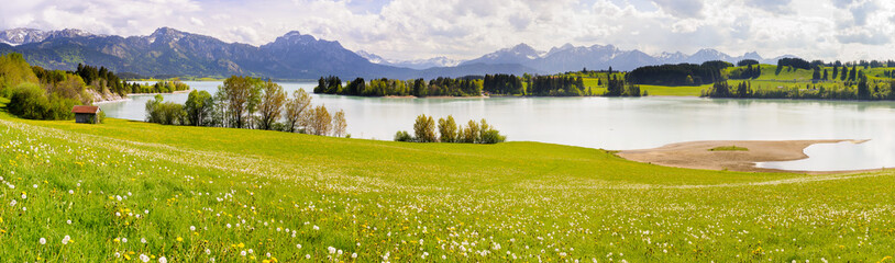 Panorama Landschaft in Bayern mit Forggensee im Allgäu mit Frühlingswiese