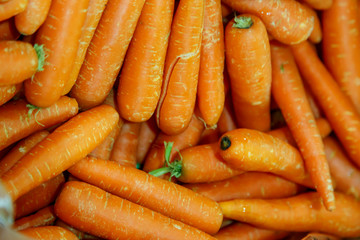 carrots a lot from farmers market