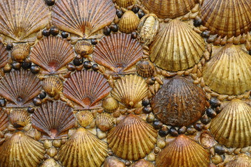 Close up of shells wall