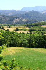 Naklejka premium cultures,vignoble en campagne en drôme dans l'isère