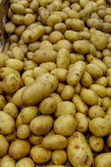 organic potatoes sold on market