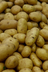 organic potatoes sold on market