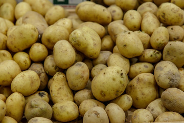 Group of Potatoes
