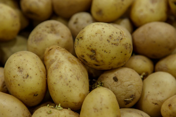 organic potatoes sold on market