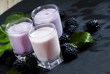 Homemade yogurt and milk cocktail with berry blackberries, selec