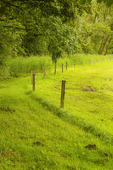 Wood fence on a green field