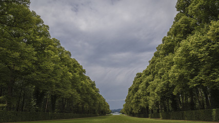 Fototapeta na wymiar Green path covered with green trees on a cloudscape