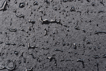 Wet slate texture, macro shot
