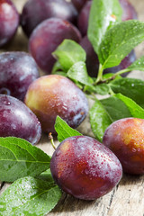 Delicious blue-orange plums with drops of water on the old woode